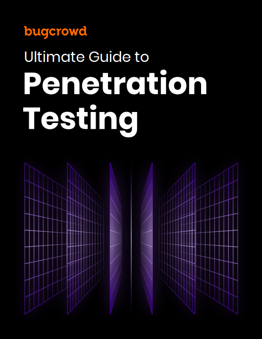 Ultimate Guide to Penetration Testing